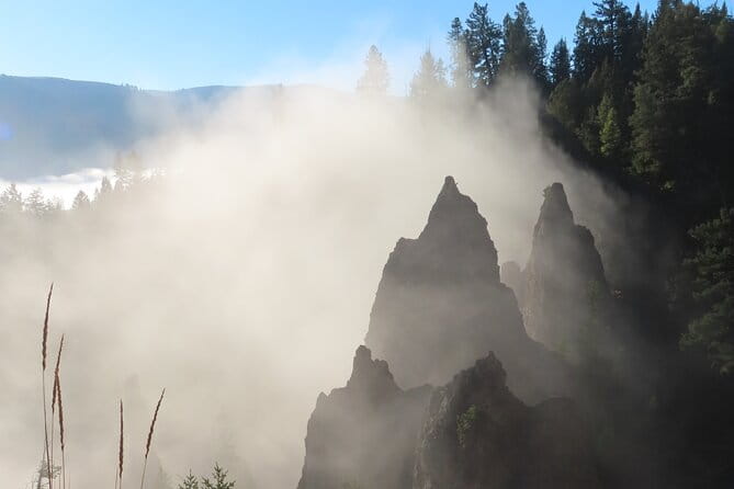 Upper Loop Tour and Lamar Valley from West Yellowstone with Lunch - Who Will Love This Tour?