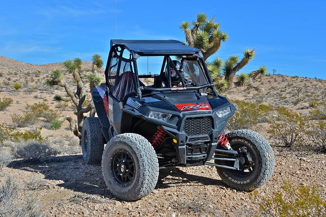 Vegas Desert RZR Adventure with Lunch at the Pioneer Saloon - FAQ
