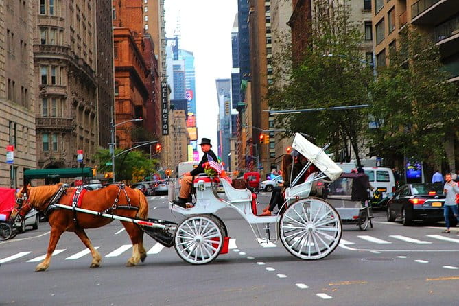 VIP Horse Carriage Ride through Central Park (Up to 4 Adults) - Frequently Asked Questions (FAQs)