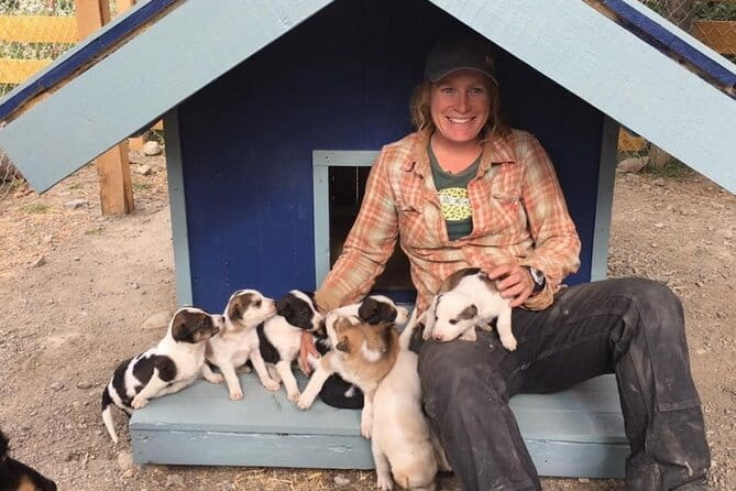 Yukon Husky Puppy Play Time & Summit Tour - The Sum Up: Who Will Love This Tour?