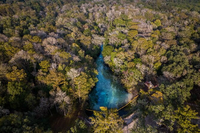2 Hour Glass Bottom Guided Kayak Eco Tour in Gilchrist Blue - FAQs