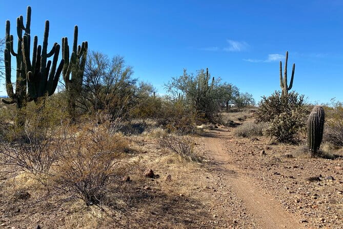 2 Hour Sonoran Desert Private Guided Mountain Bike Tour - FAQs