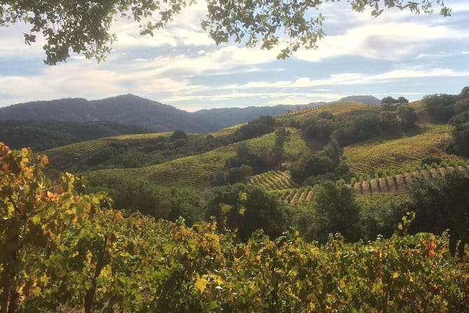 6-Hour Exclusive Wine Tour Experience: Up to 6 Guests - Who Will Love This Tour?