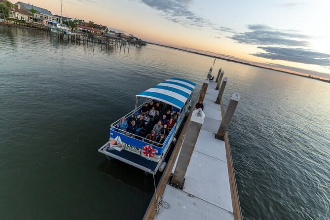 Adventure Boat Tours - One Hour Dolphin/Eco/History/Sightseeing Boat Tour - The Sum Up
