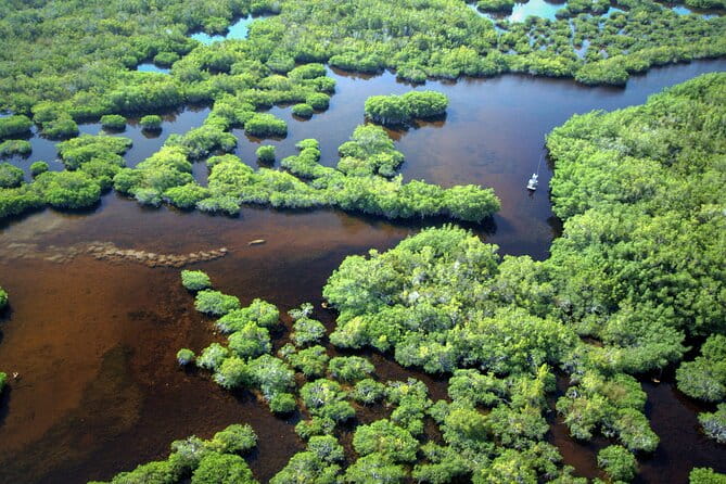Everglades National Park Boat Tour - Practical Tips for Travelers