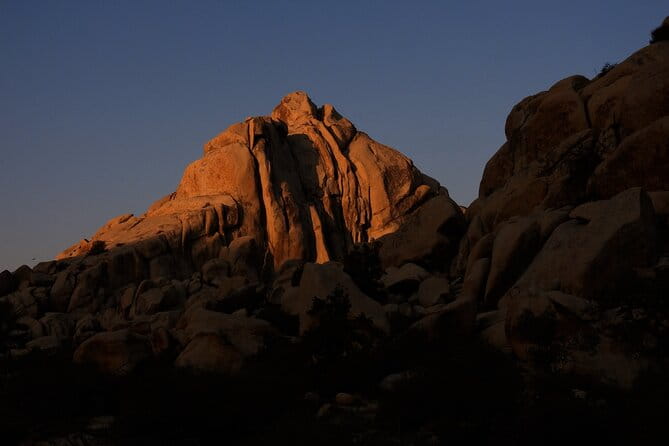Half-Day Guided Hike in Joshua Tree National Park - Is This Tour Worth It?