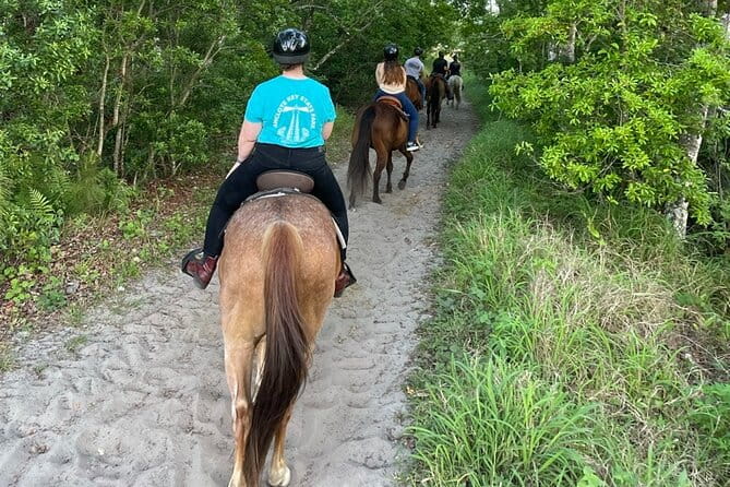 Horseback Ride on Scenic Lake Louisa Trails - FAQ