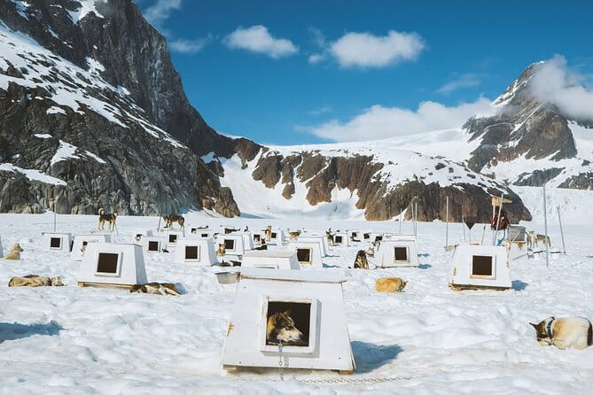 Juneau Shore Excursions: Juneau Helicopter Tour & Dogsledding Experience - The Sum Up
