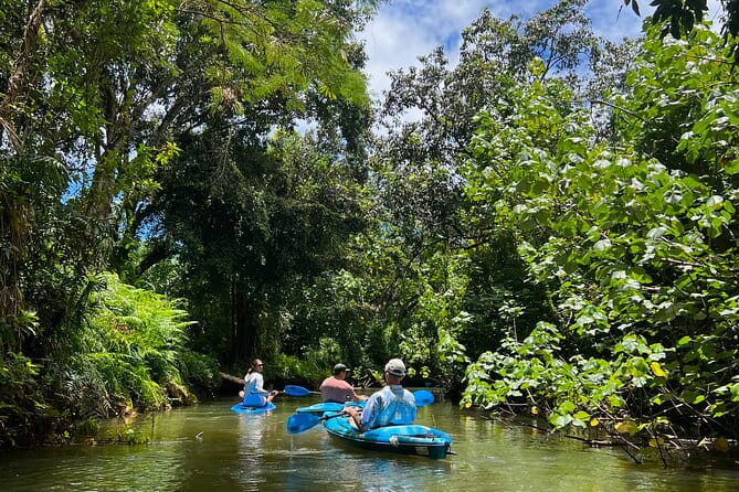 Kahana Bay River to Ocean: Kayak and Stand Up Paddle Board Rental - The Sum Up: Is it Right for You?