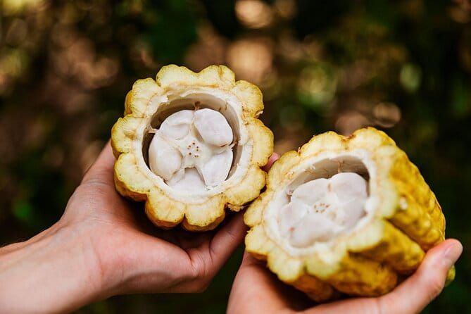 Kauai Chocolate Farm Tasting Tour - Frequently Asked Questions