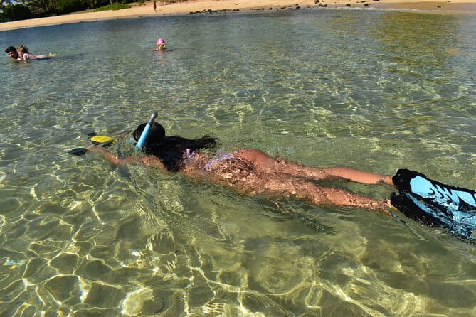 Kauai Snorkeling Adventure - The Realities of Self-Guided Snorkeling