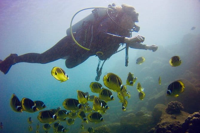 Kauai's Ultimate South Shore 2 Tank Dive (Certified Divers Only) - FAQ
