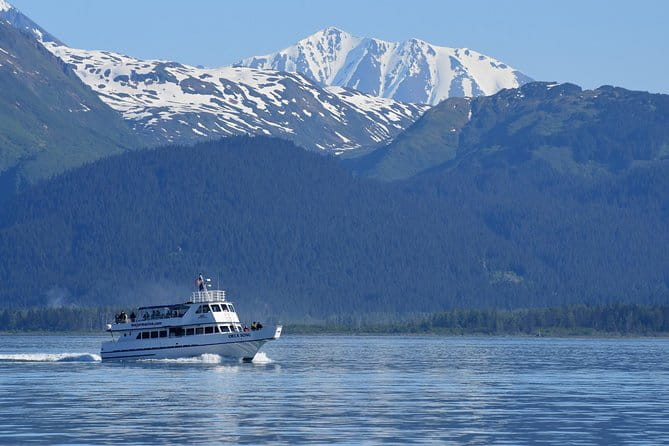 Kenai Fjords Orca Quest Cruise - The Sum Up