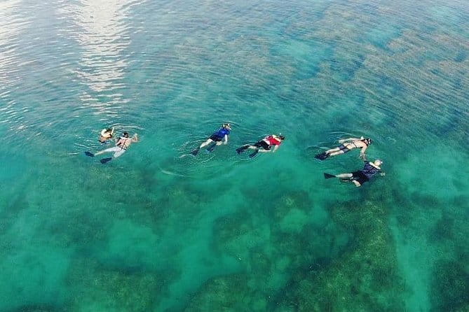 Key West Dolphin and Snorkel Experience - FAQs