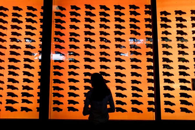 La Brea Tar Pits and Museum Admission Ticket with Excavator Tour - FAQ