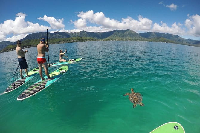 Mahina Hawaii Full Day Adventure - The Sum Up: Why Choose Mahina Hawaii’s Full Day Adventure?
