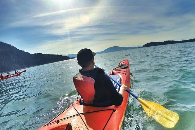 Mendenhall Glacier View Sea Kayaking - Who Will Love This Tour?
