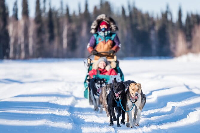 Private Guided Dog Sledding on the Historic Yukon Quest Trail - FAQ