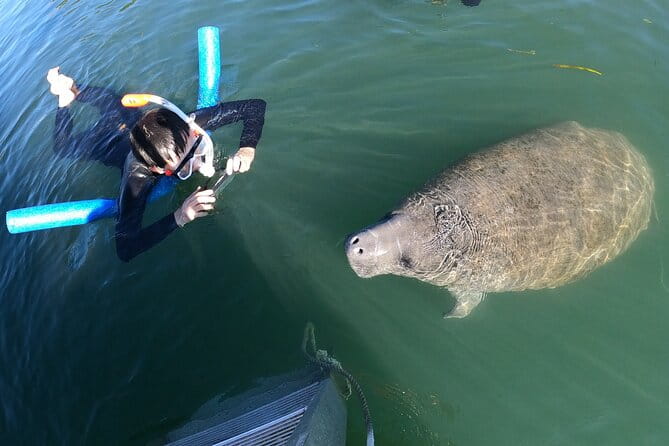 Private Manatee Snorkeling Tour - FAQs