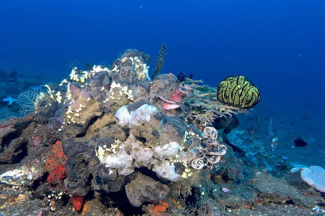 Scuba Certification - Cancellation and Weather Policy