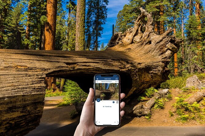Sequoia & Kings Canyon NP Self-Guided Driving Audio Tour - Historic Sites: Squatter’s Cabin and Tharp’s Log