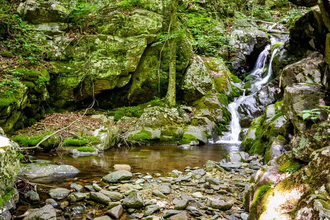 Shenandoah National Park Self-Guided Driving Audio Tour - In Closing