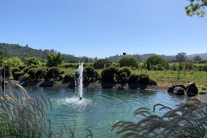 Sonoma or Napa -8hr- Private Wine Tour with Concierge Service - Final Thoughts