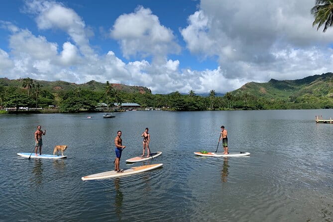 Stand Up Paddle Rental- Wailua River to Secret Falls - Who Will Love This Tour?