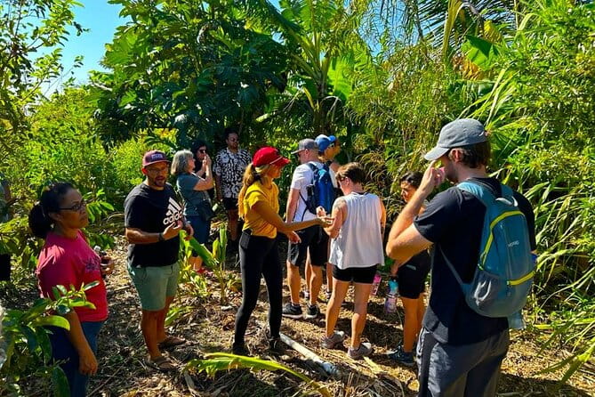 Taste of Hawaii: A Maui Farm Tour - The Sum Up