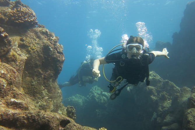 Turtle & Shark Scuba Dive in Lahaina: Certified - Final Thoughts