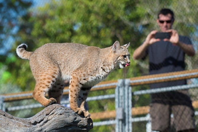Zoo Miami Ticket with Optional Upgrade - FAQ