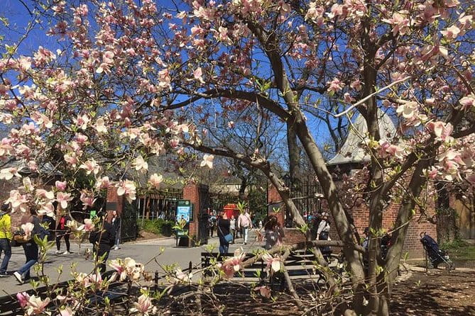 Central Park Walking Tour - Why Travelers Love This Tour