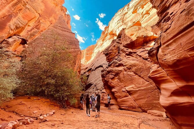 Grand Canyon South Rim, Antelope Canyon and Horseshoe Bend Tour - Final Thoughts