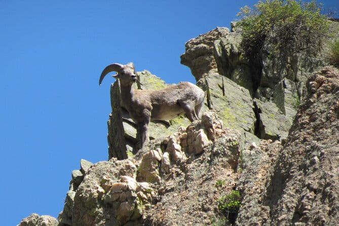 Half day Beg/Inter Rafting near Ft Collins - Estes Park - Boulder - Final Thoughts: Is It Worth It?