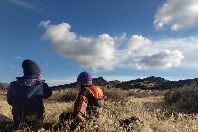 Half-Day Guided Hike in Joshua Tree National Park - Who Should Consider This Tour?