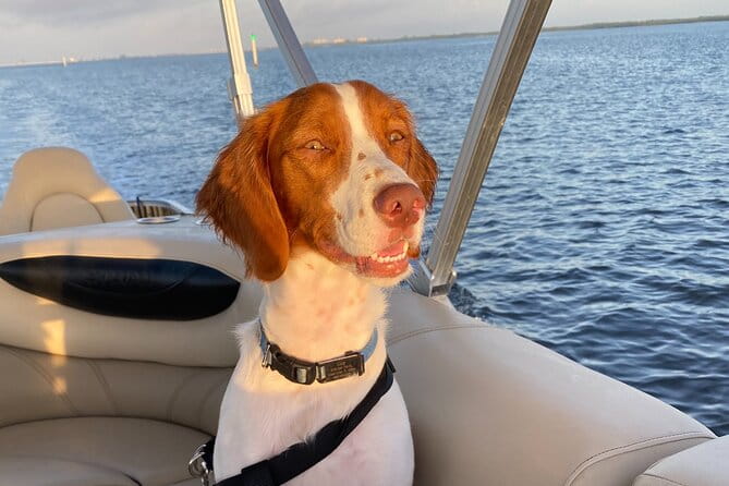 Half-Day Private Tiki Boat Beach Tour from Fort Myers - Frequently Asked Questions