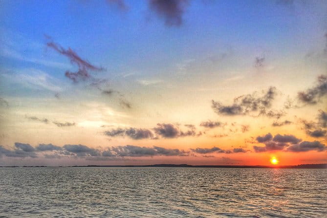 Hilton Head Guided Kayak Eco Tour - The Value and Practicality