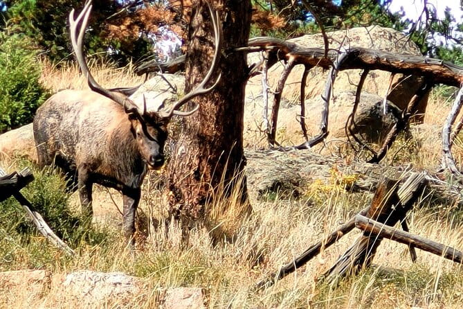 Private Birding Hike in Rocky Mountain National Park - FAQ