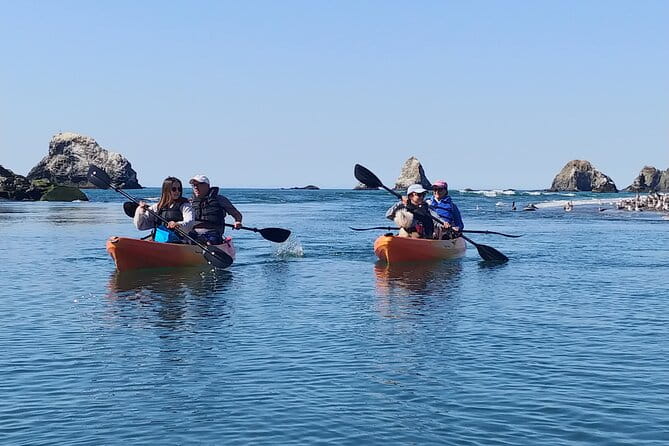 Russian River Kayak Tour at the Beautiful Sonoma Coast - FAQ