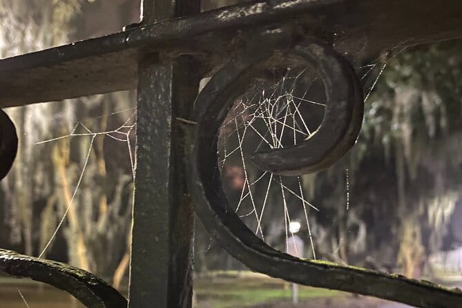 Savannah Ghost Tour for Adults ALL Alcoholic Drinks Included - Who Should Consider This Tour?