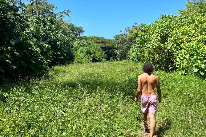 Secret Tide Pool Hike - Jungle & Coast - Private - Final Thoughts