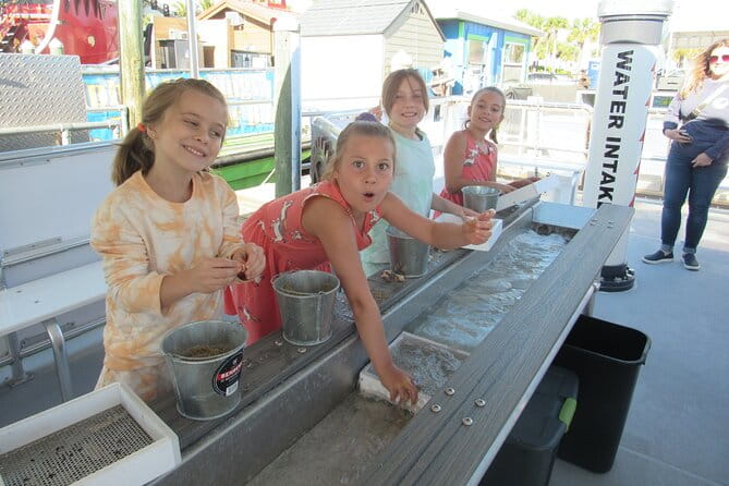 Shark Teeth and Shells, Dolphin and Shelling Tour Boat Clearwater Beach - The Value for Money