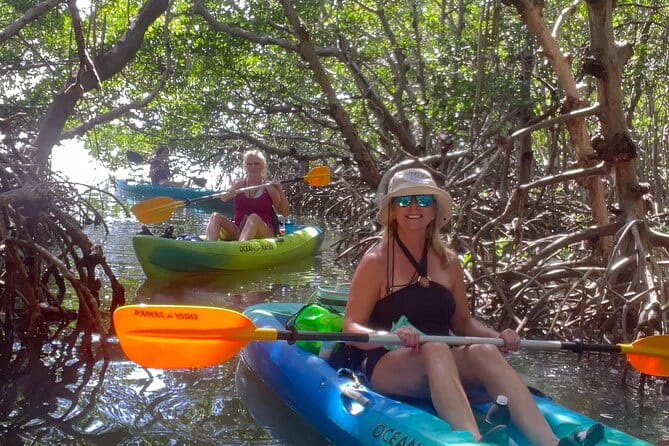 Exclusive Kayak Expedition: Exploring the Mangroves to Shell Key - Wildlife and Scenery