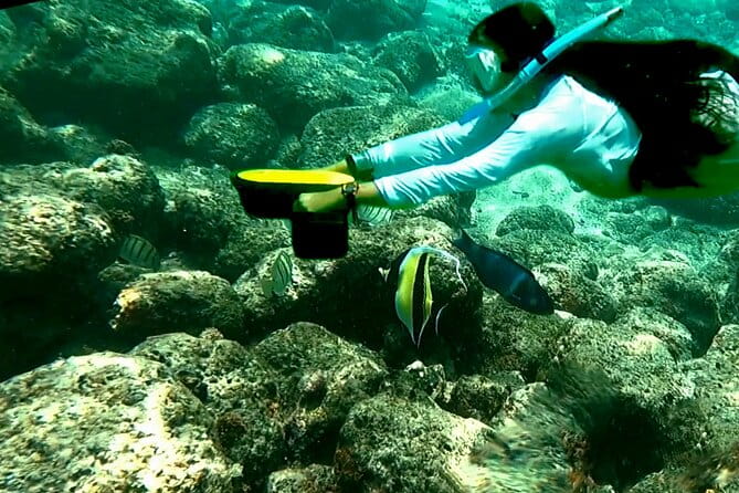 Kauai Snorkeling Adventure - Frequently Asked Questions