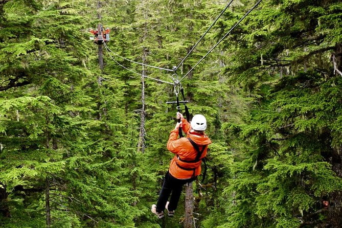 Alpine Zipline Adventure in Juneau, AK - Alpine Zipline Adventure in Juneau, AK: An Authentic Forest Flight
