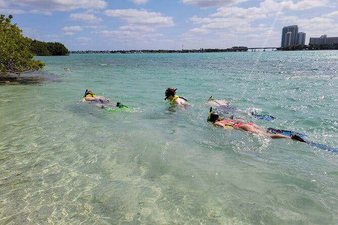 Beginner Friendly Island Snorkeling - Exploring Miami’s Coastline Through Beginner-Friendly Island Snorkeling