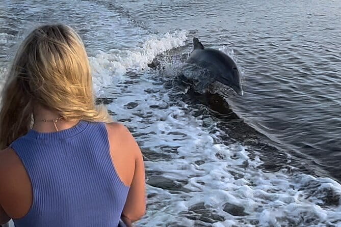 Best of Marco Island Tour - An In-Depth Look at the Tour Itinerary