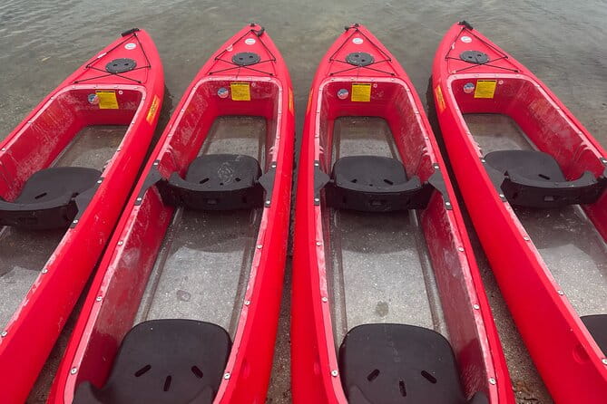 Bioluminescent Clear Bottom Kayak or Paddleboard Sit-On-Top Kayak Hybrid Tour! - An In-Depth Look at the Experience