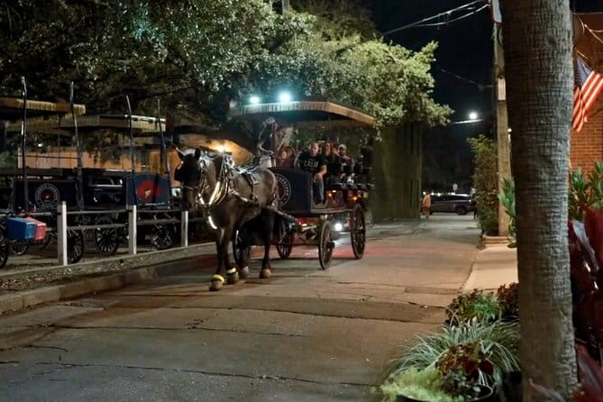 Charleston Haunted Horse and Carriage Evening Tour - Discover Charleston’s Haunted Charm from a Horse-Drawn Carriage