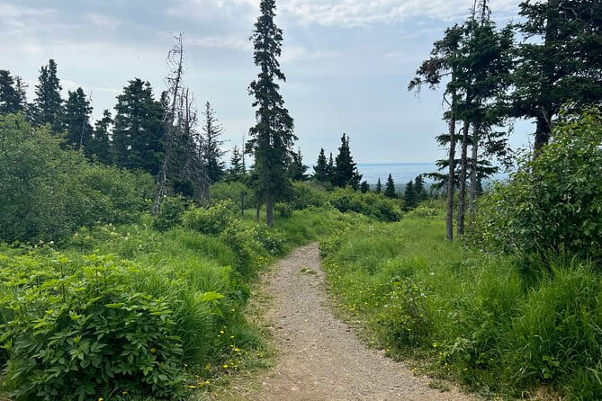Chugach State Park Nature Walk - Exploring the Chugach State Park Nature Walk: A Balanced Look